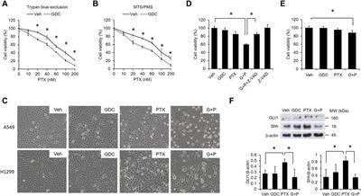 Hedgehog Suppresses Paclitaxel Sensitivity by Regulating Akt-Mediated Phosphorylation of Bax in EGFR Wild-Type Non-Small Cell Lung Cancer Cells